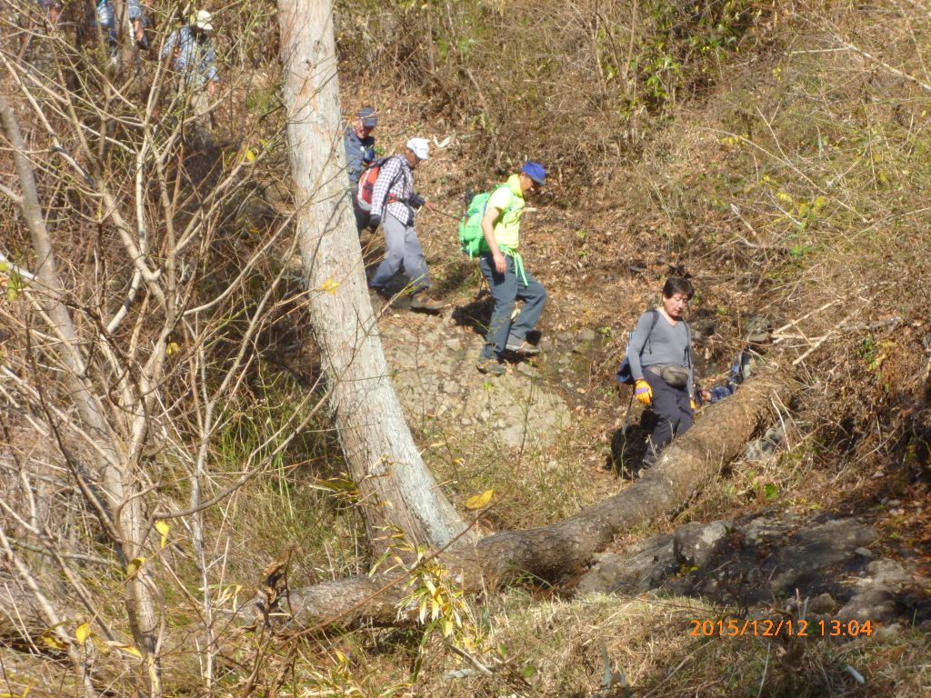 結構急な下山です