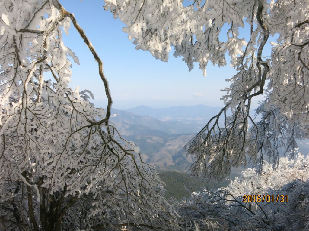 氷の窓