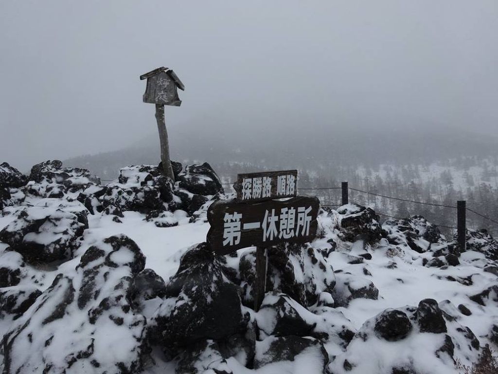 坪庭、今年は雪が少なめです