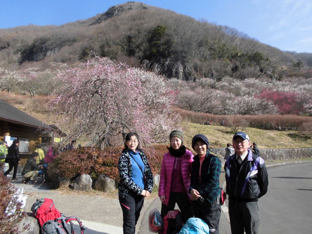 幕山公園です