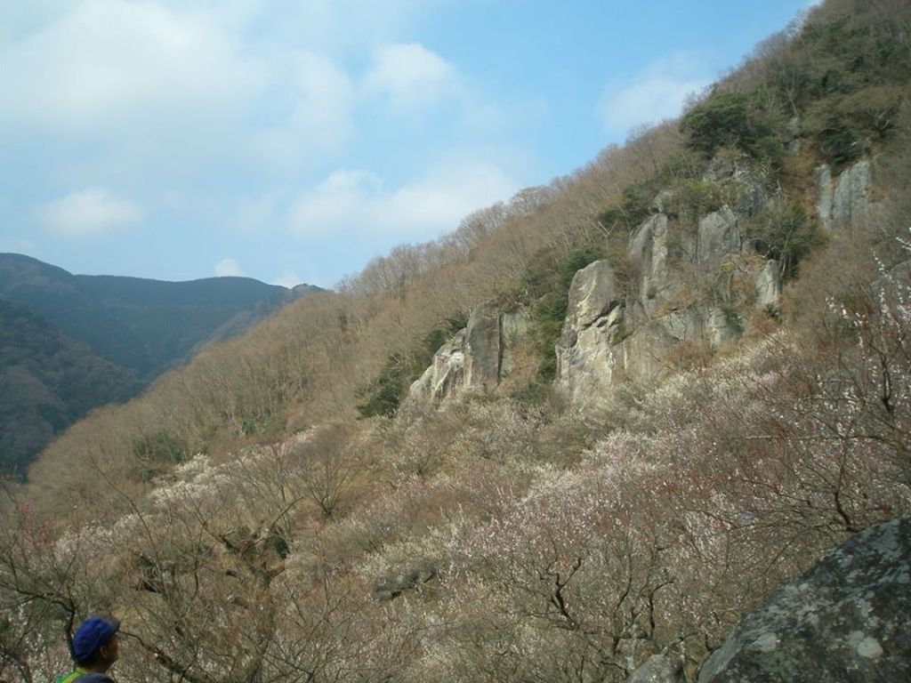 これが幕岩