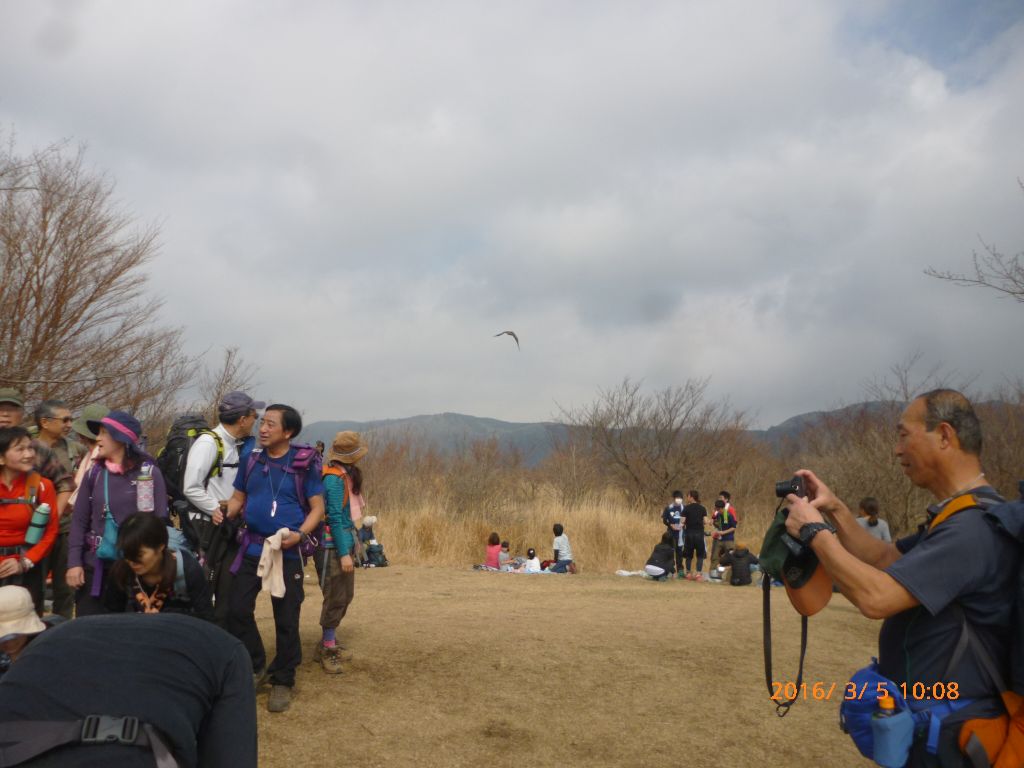 広々とした幕山頂上