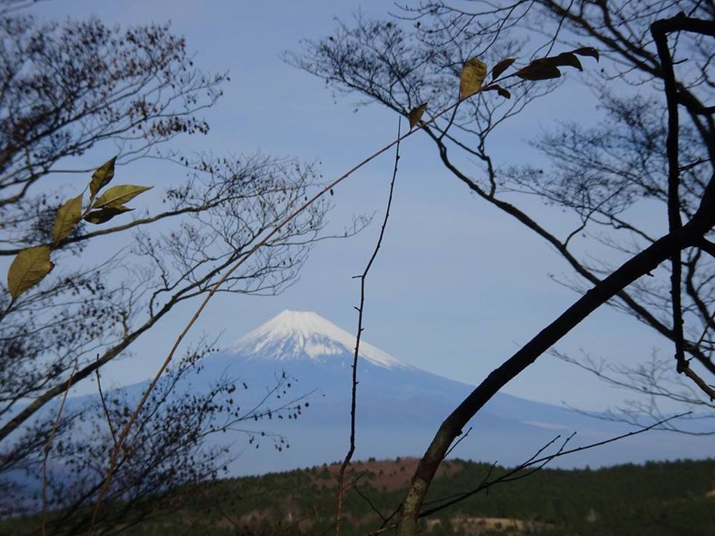 富士山を見ながら行きます