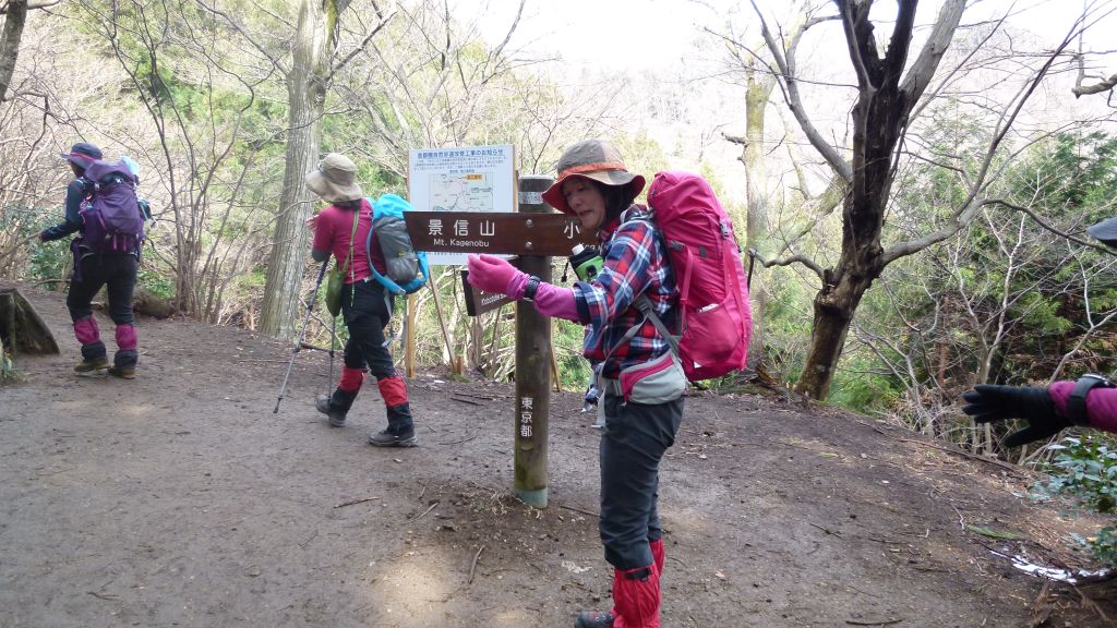 ここから登山道へ入ります