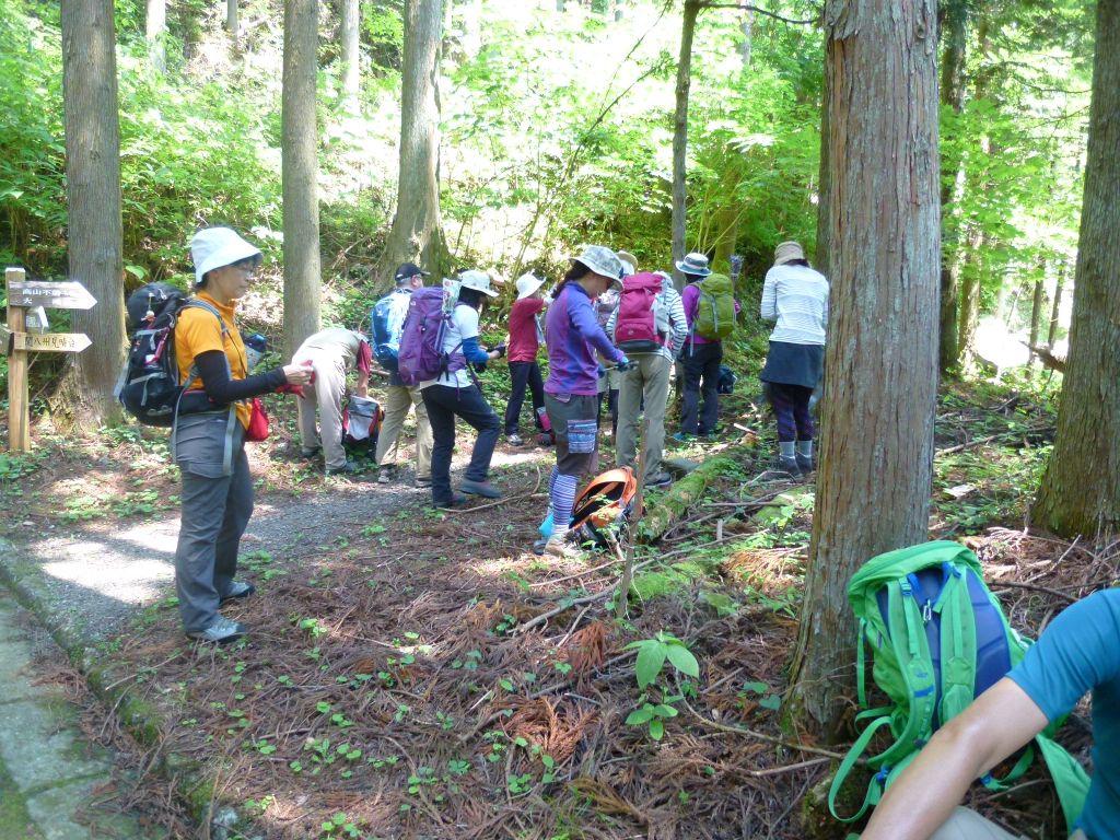 ここから登山道が始まります