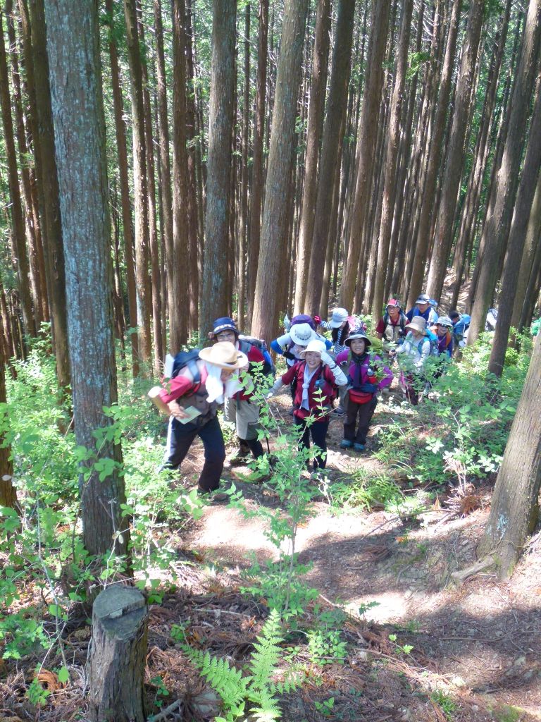 続々と急登を登ってきます