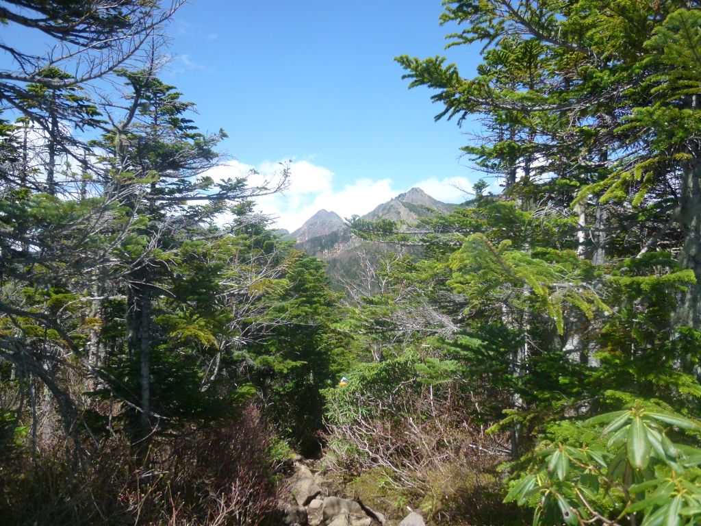 木々の間から望む赤岳