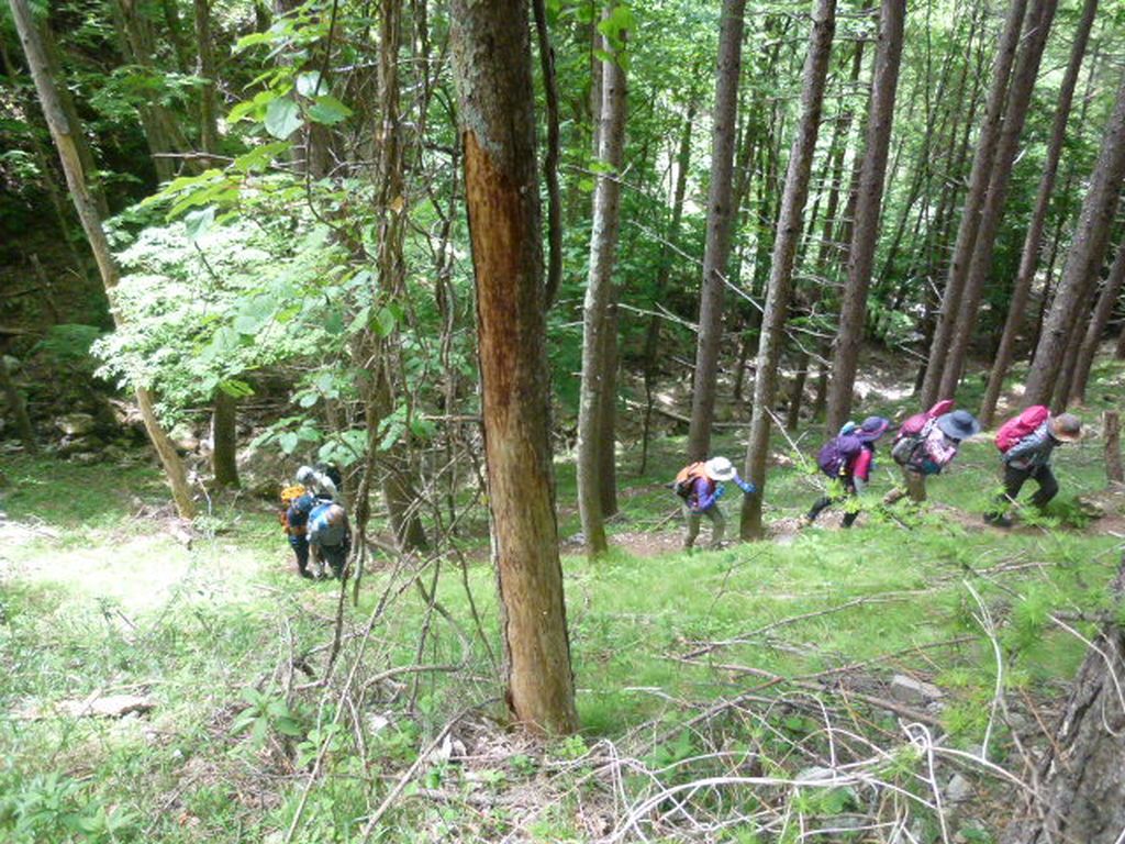 黙々と登ります