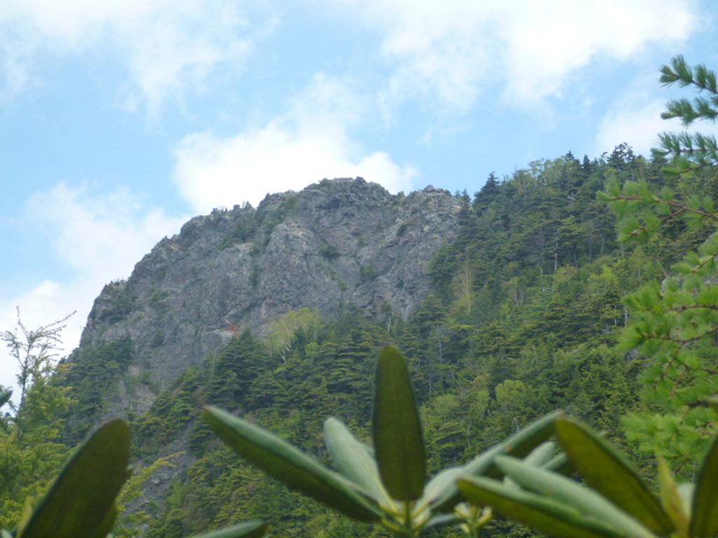 あそこが山頂です