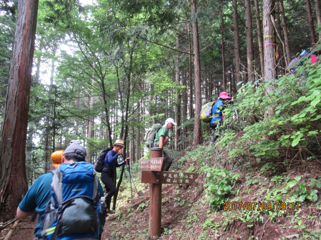 中尾根登山道の長い長い登りが始まります