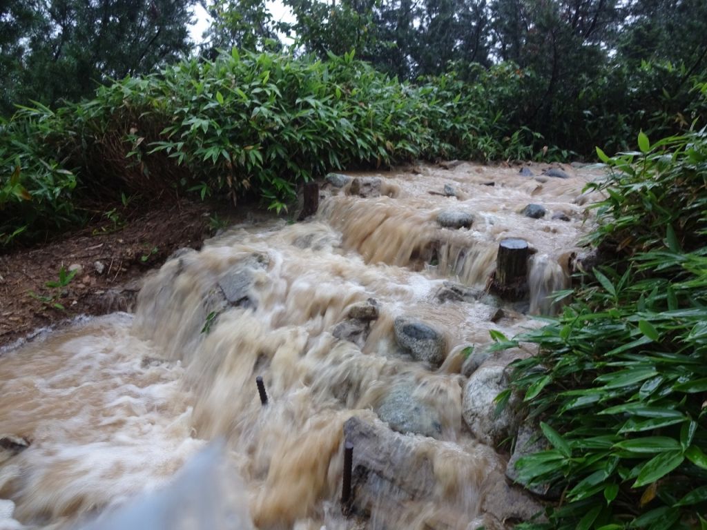 (25)大雨で登山道は滝の模様