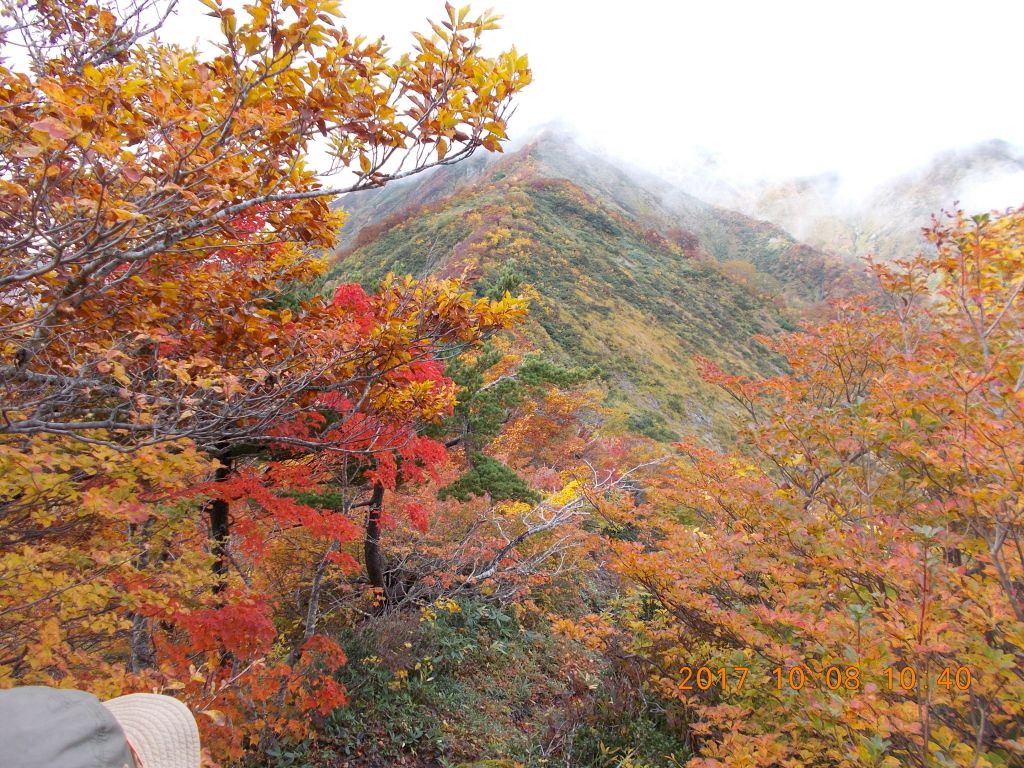 長いのぼりを紅葉が励ましてくれます