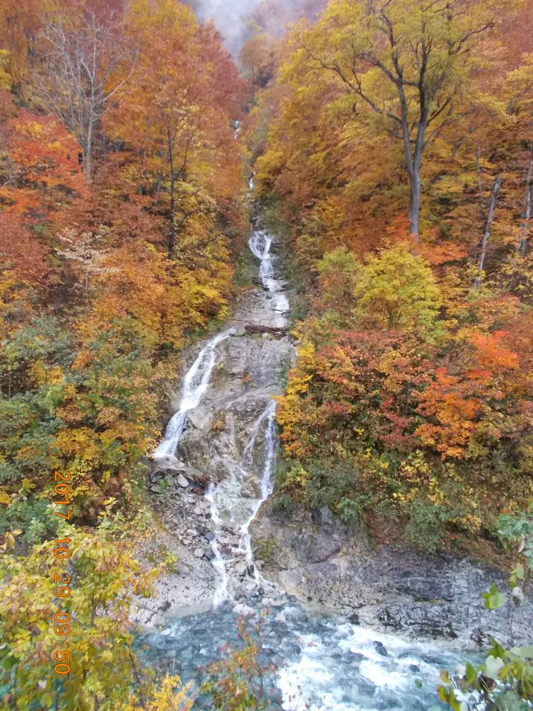 滝と紅葉