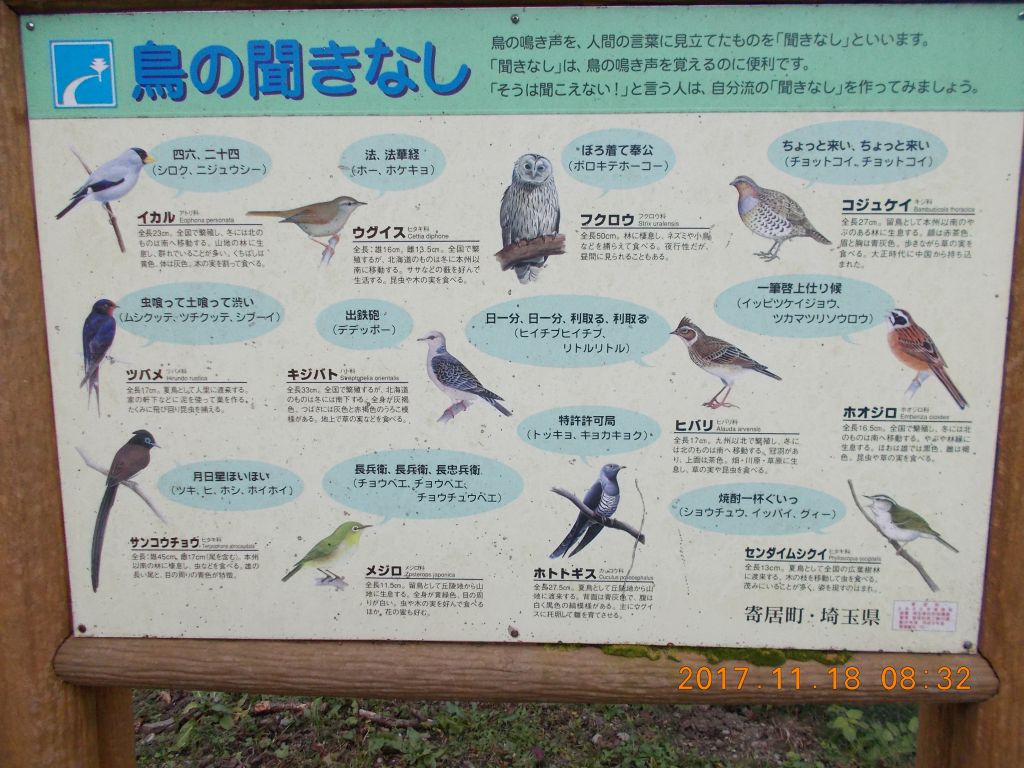 鳥の聞きなし