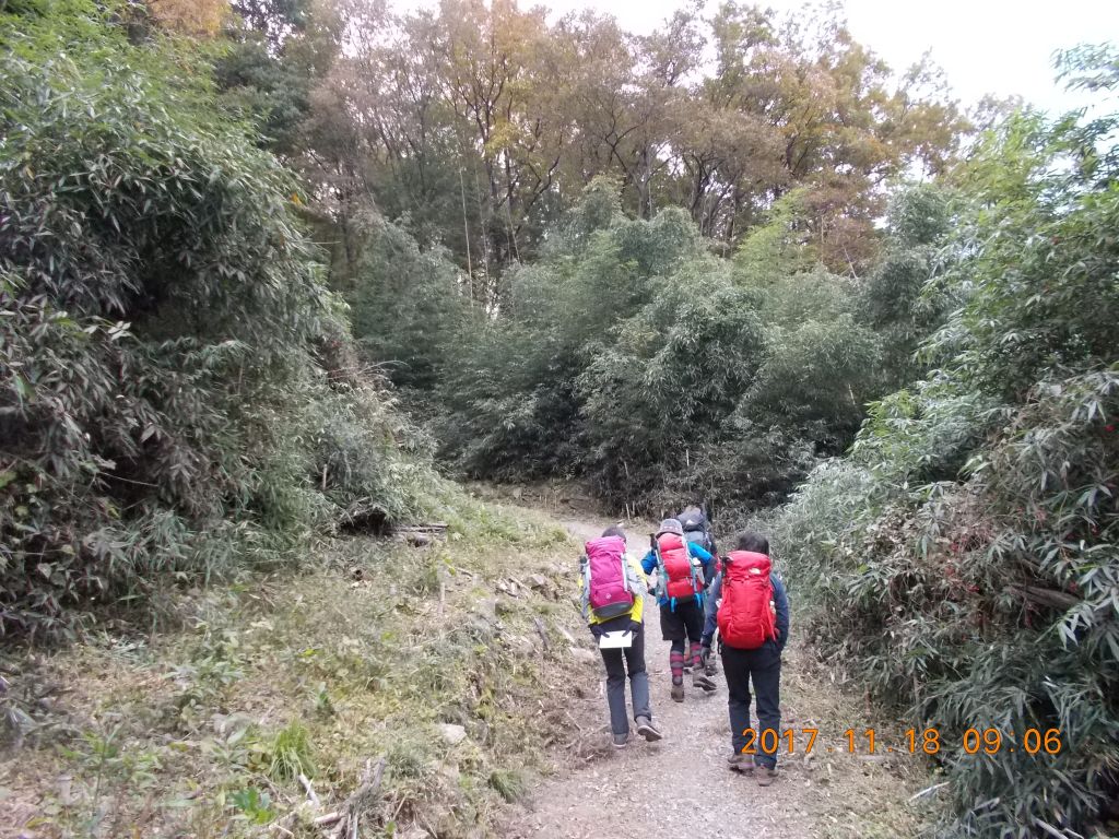 ゆったりと登って行きます