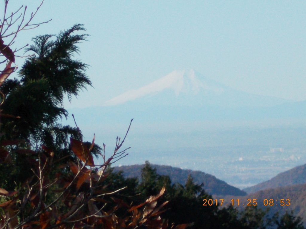 富士山が見えました