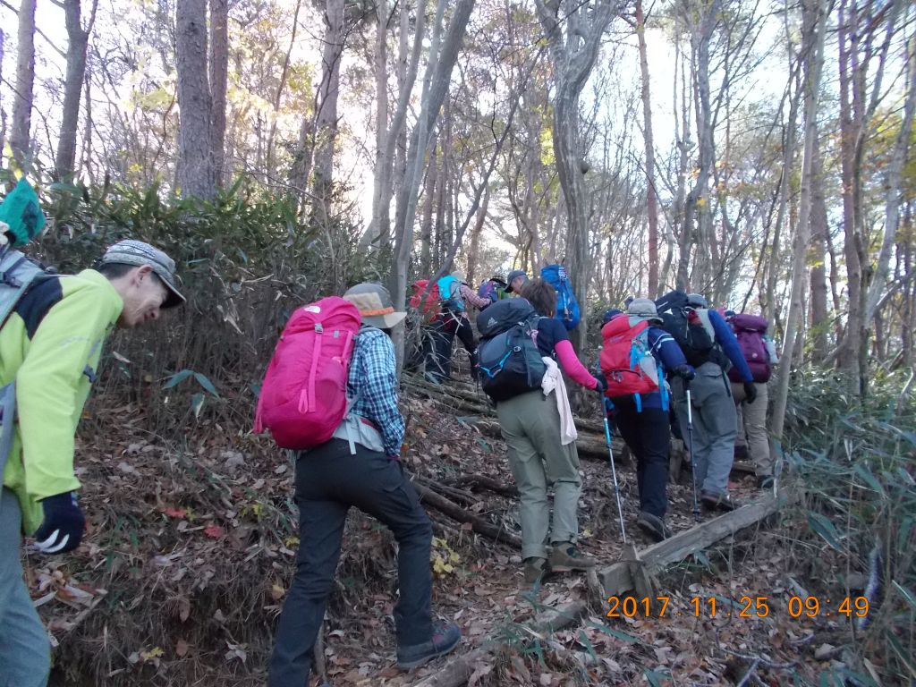 なだらかな登山道を行きます