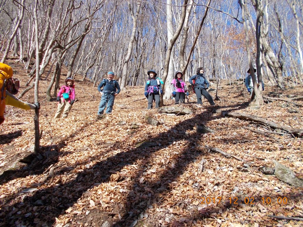 すっかり落葉した林の中楽しく登ります