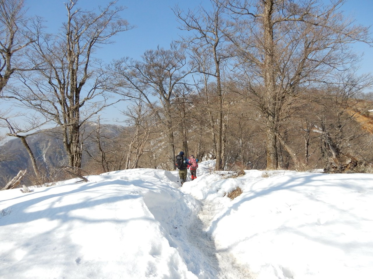 塔が岳から先は雪がいっぱいです