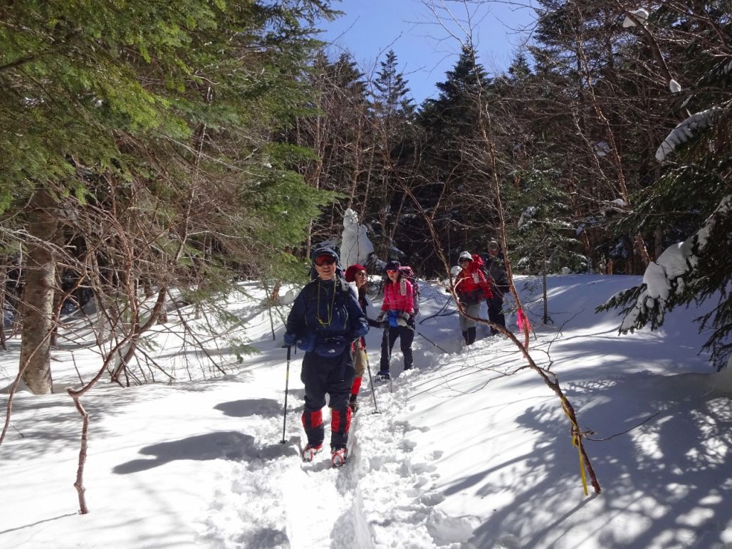 南沢を下山します