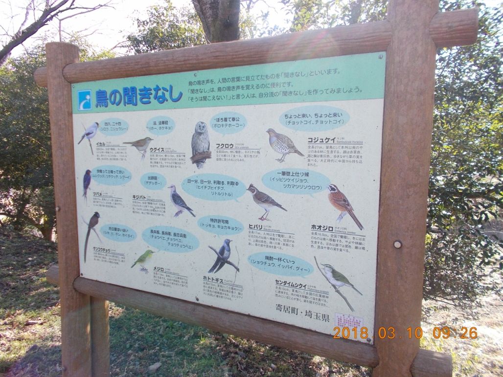 大正池の面白い鳥の鳴き声看板