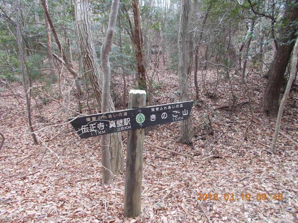 やっと正規の登山道へ出ました