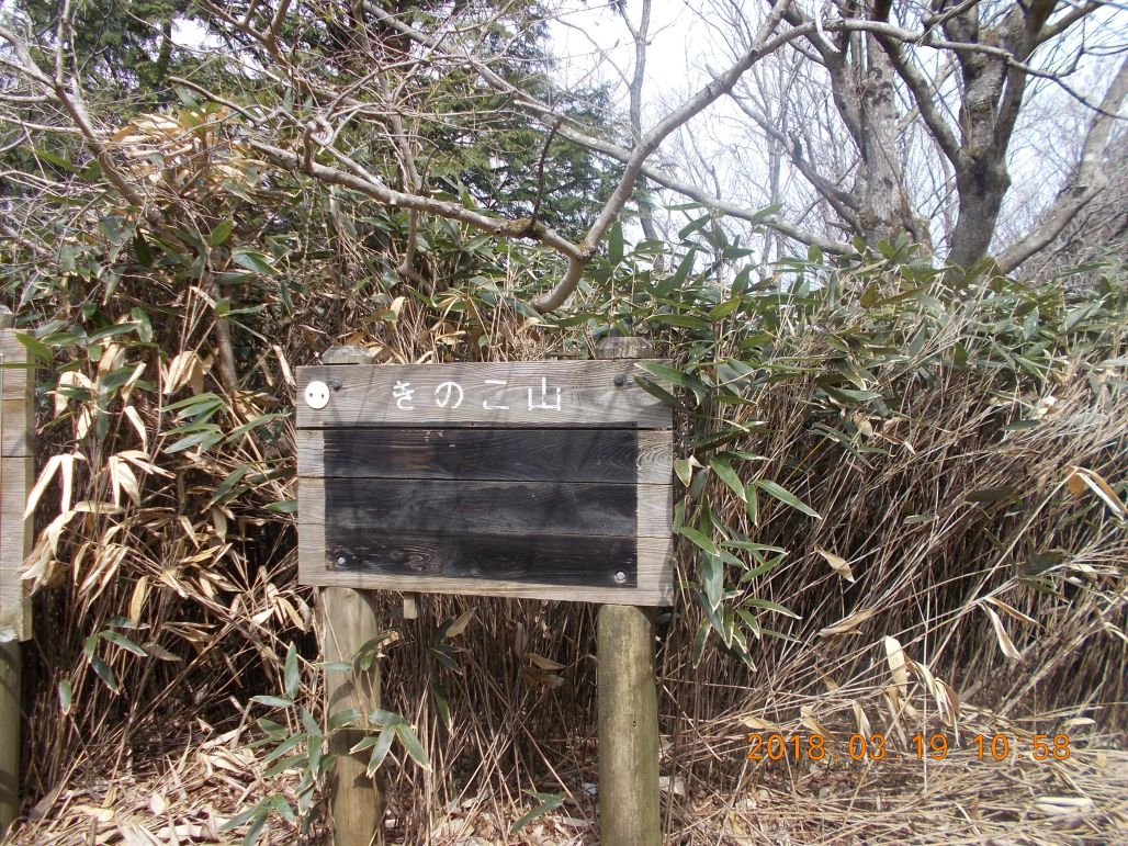 きのこ山山頂、ここで昼食です