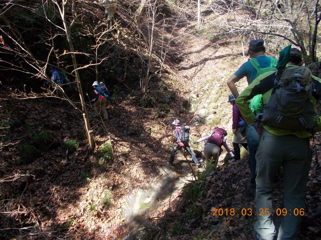 結構厳しい登山道を行きます