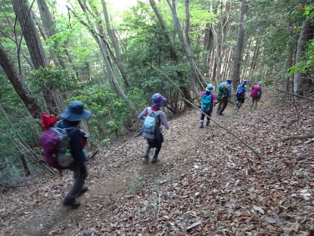 長く単調な下山道を行きます