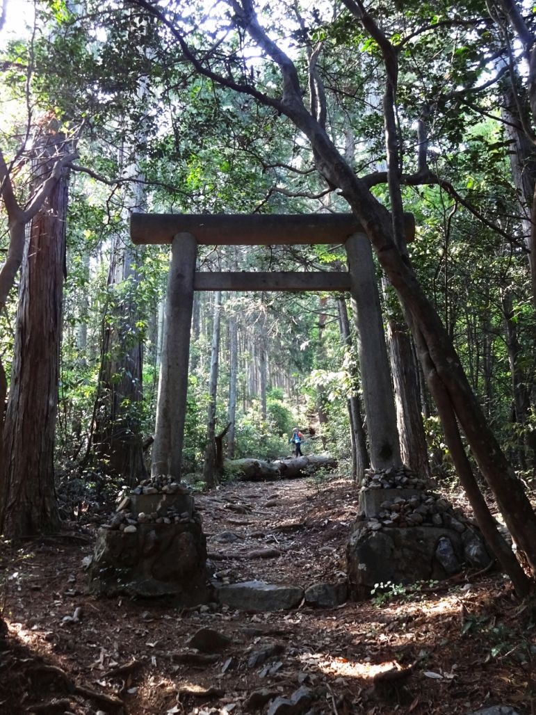 金比羅神社の鳥居、もうすぐ終点です