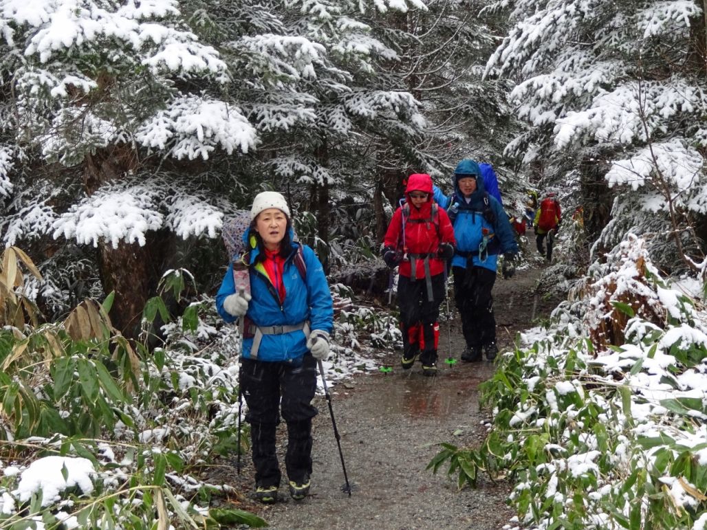 雪の中、樹林帯をとおり涸沢を目指します