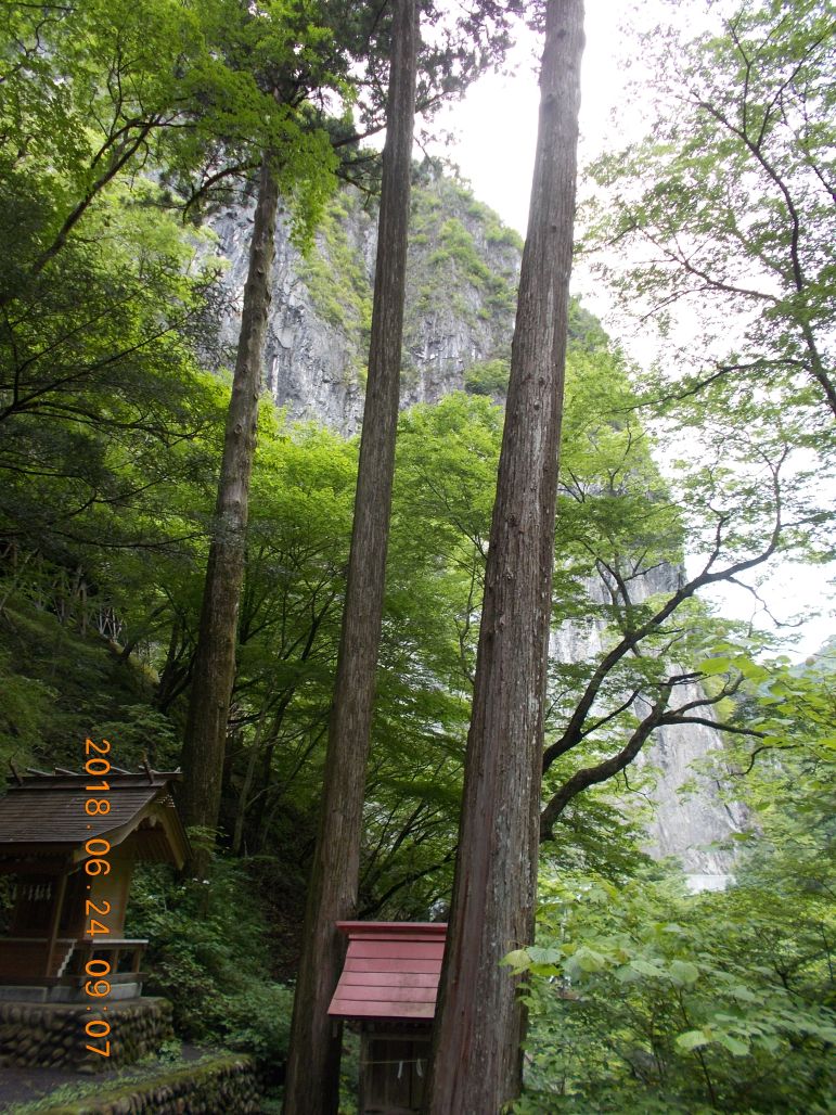 あの岩山の上へ登ります