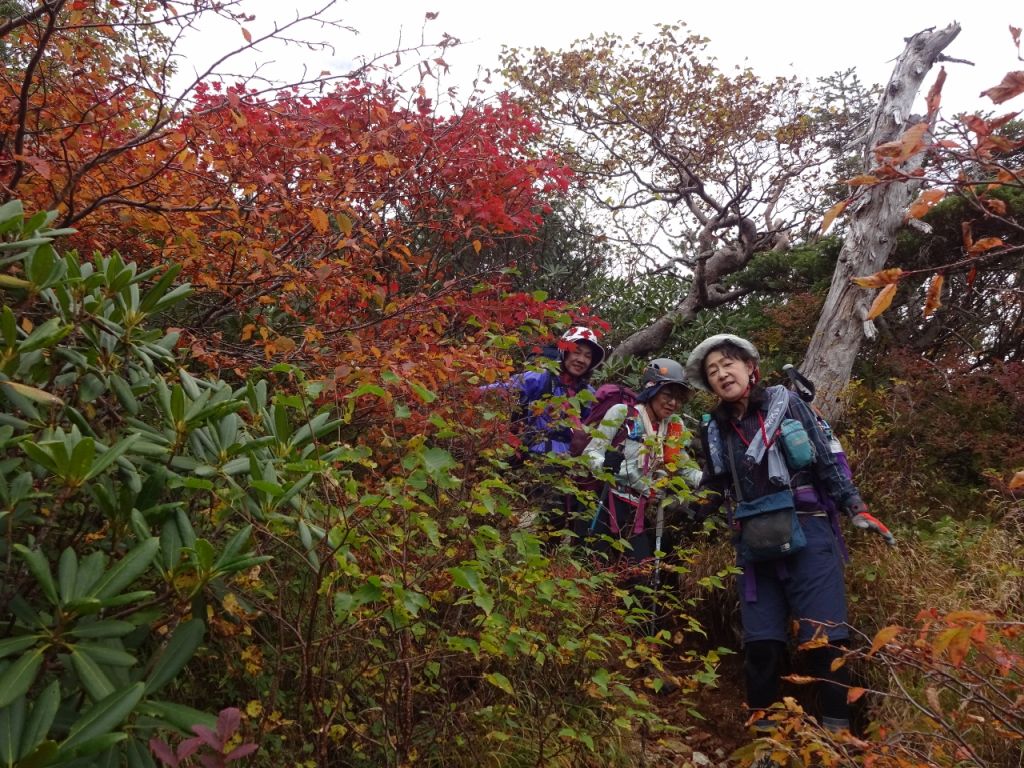 紅葉の登山道を下ります