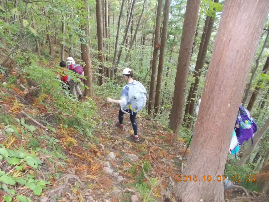 下山開始、はとのす駅へ向かいます