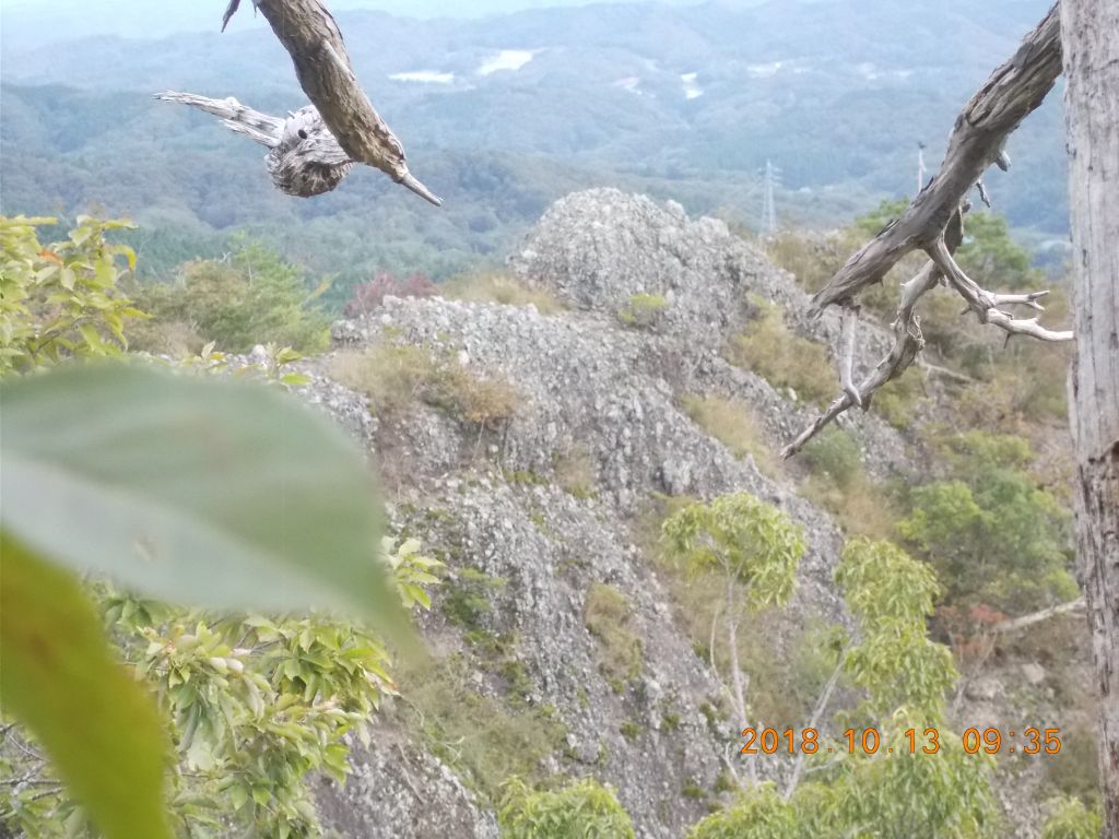 岩山が見えます