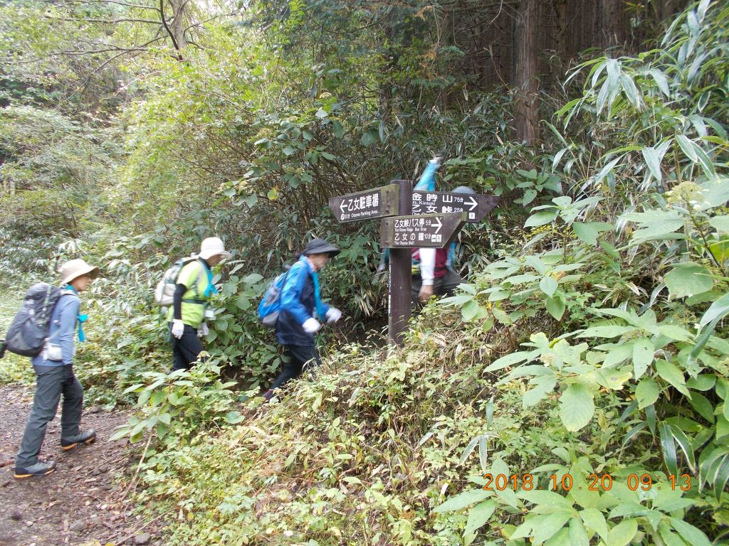 ここから本格的な登山が始まります