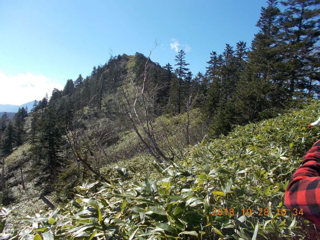 あそこが山頂です