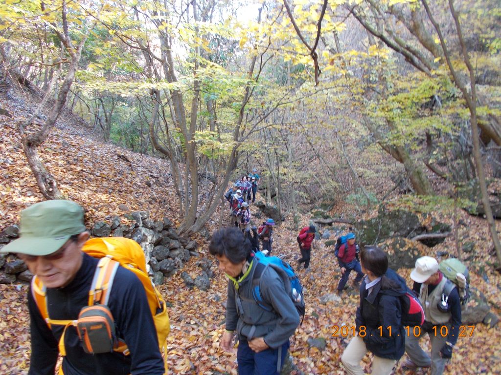 急登を黙々と登ります