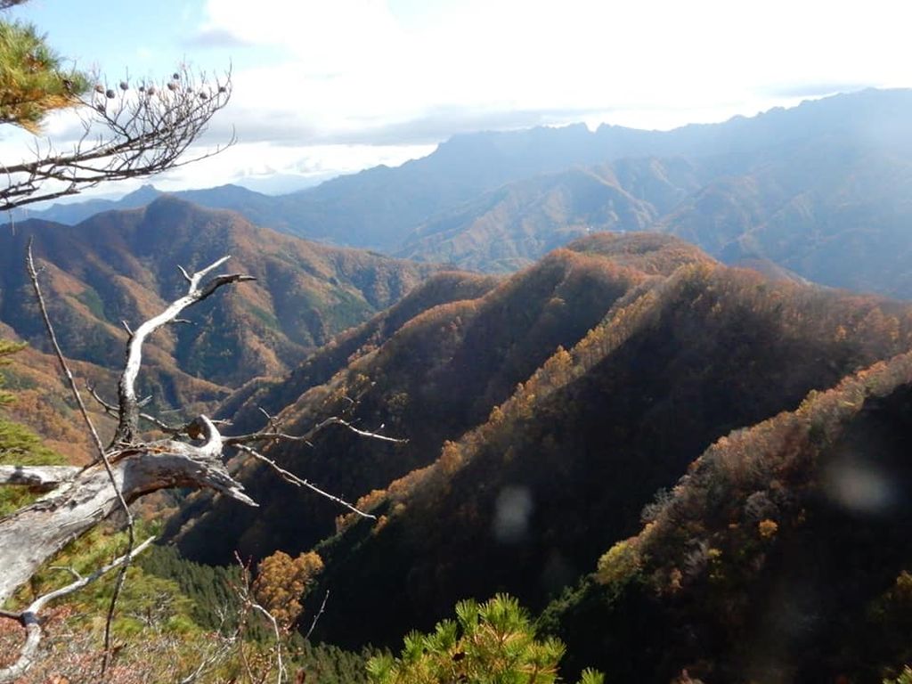 南には遠く両神山、武甲山、双子山等が・・・・