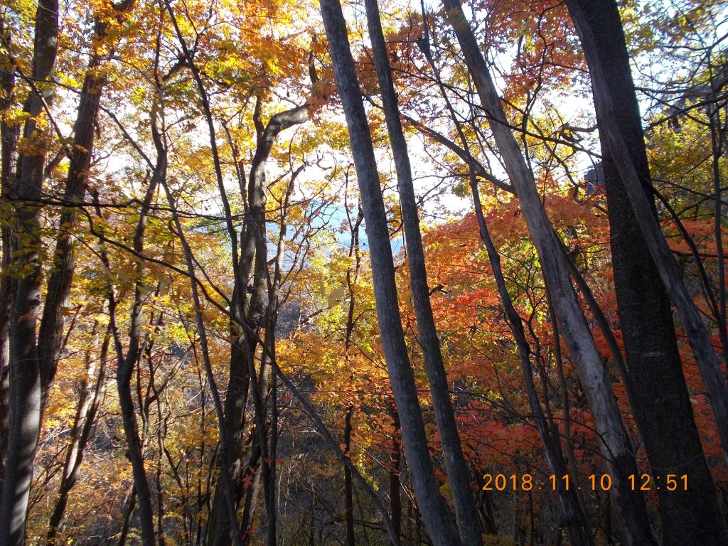 最後まですばらしい天気と紅葉