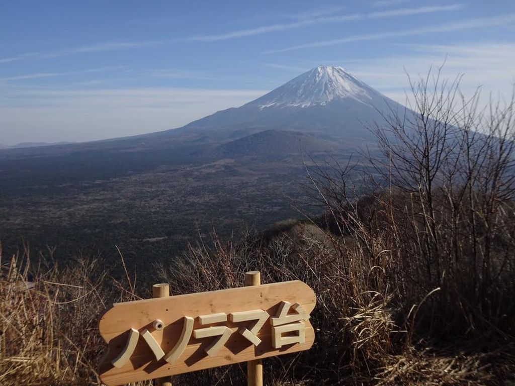 パノラマ台より富士山