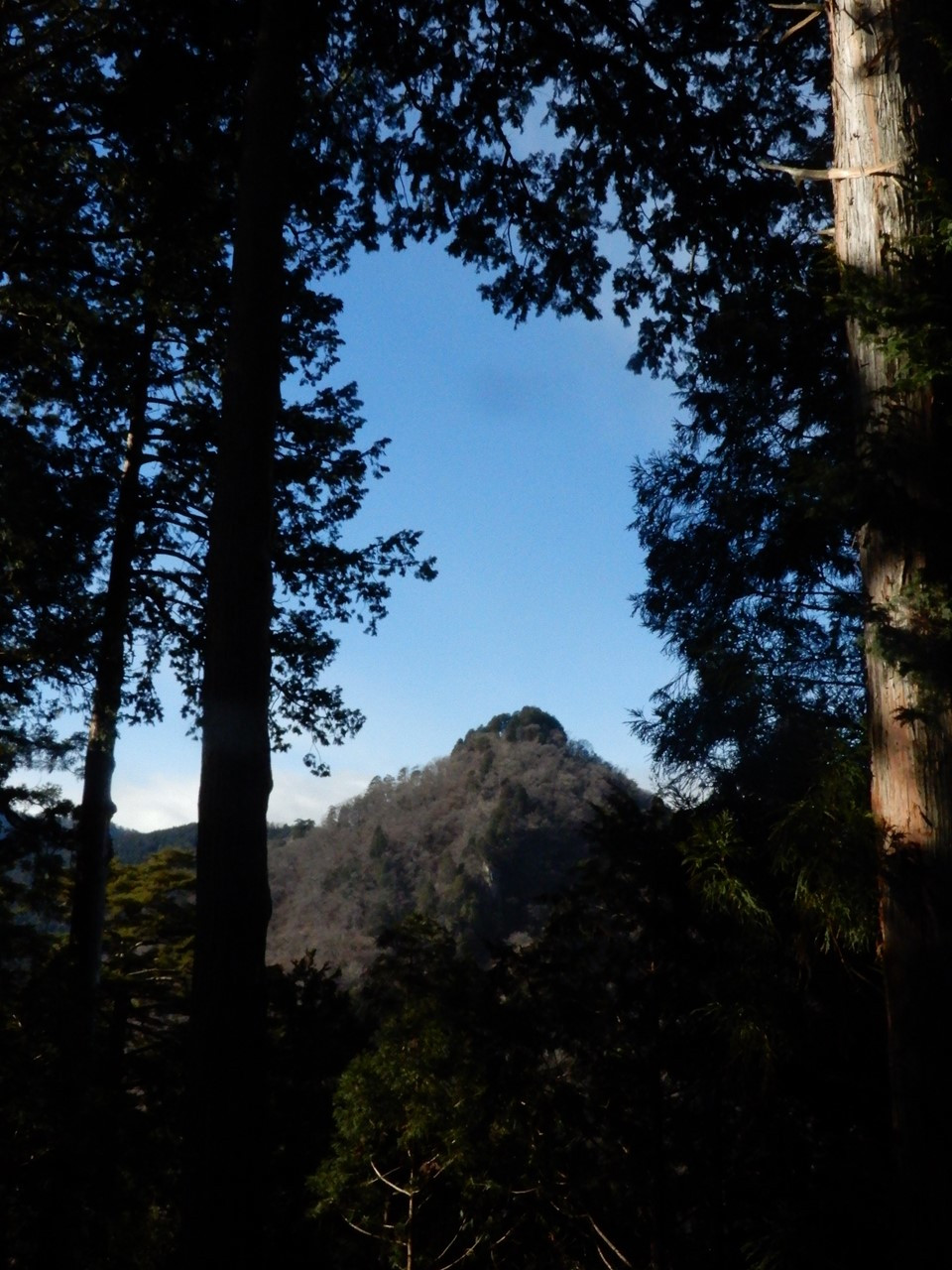 奥宮のご本尊は大岳山