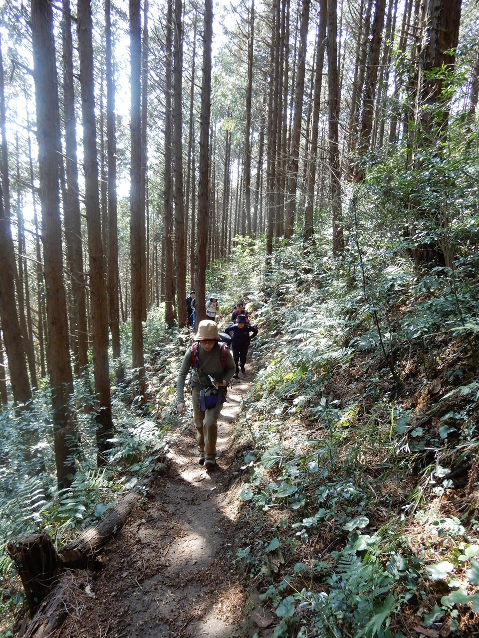 尾根コースで下山します