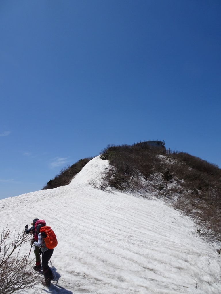 金北山山頂まであとひと息、ひと斜面！