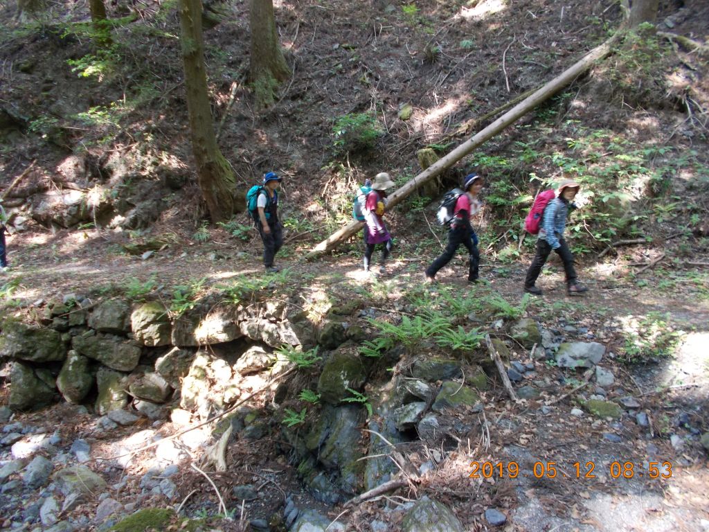 整備された登山道を行きます