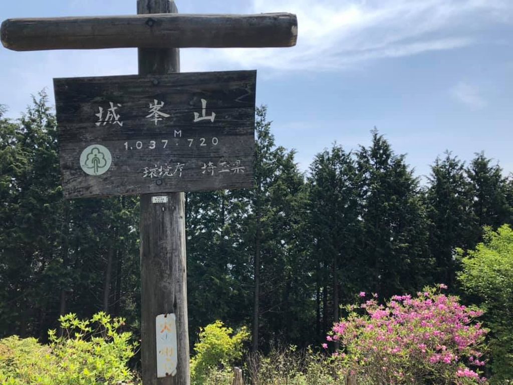 ヤマツツジの咲く城峰山山頂