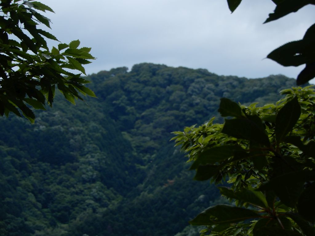 登山道から雨巻山