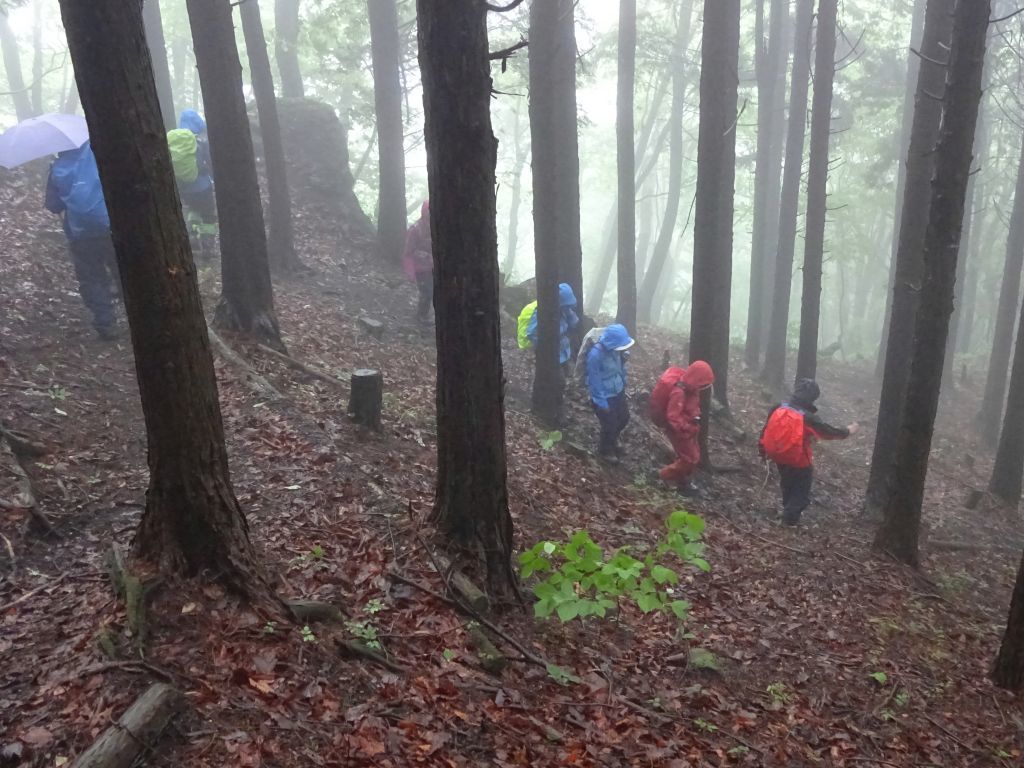 幻想的な中を下山します