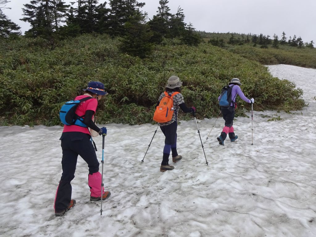 残雪の上を会津駒ケ岳へ向かいます