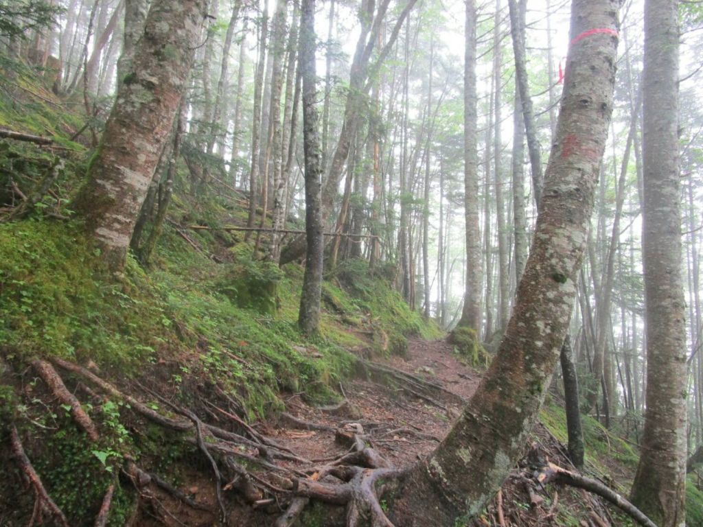 雨の中の下山です